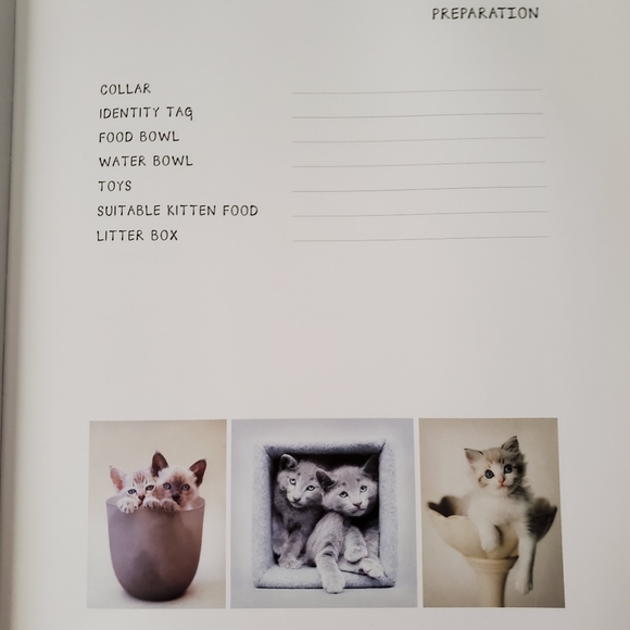 NWOTs ~ My Cat Record Book ~ - Picture 8 of 14